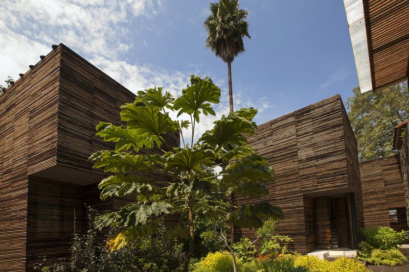 Conjunto Chipicas / Taller 6A – Alejandro Sánchez García